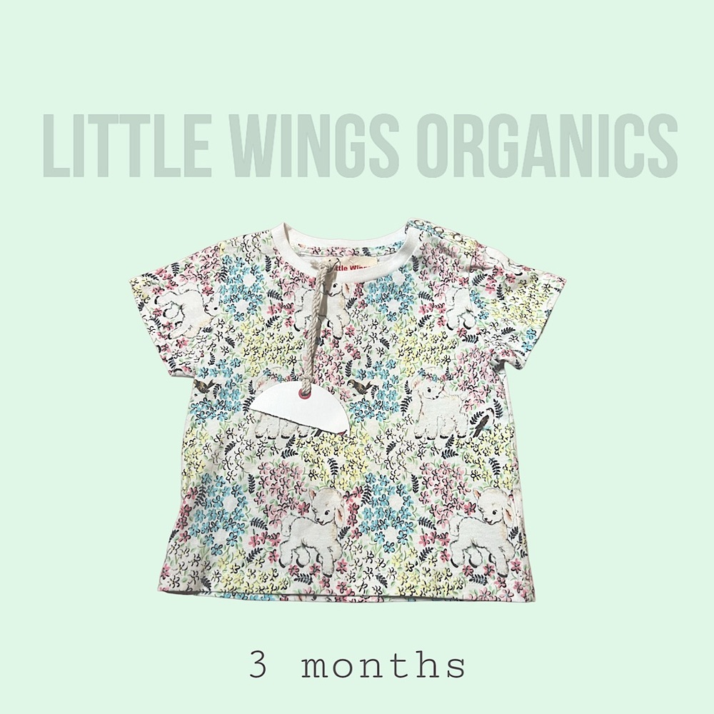NWT Little Wings infant shirt